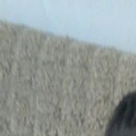Güven
