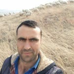 Ugur