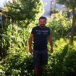 Halil