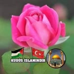 Müslüm