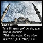Halis
