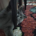 Suzan