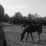 Elif