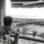 Erdem