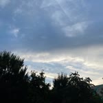 Şüra