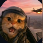 Ozi