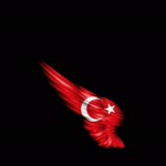 Selim