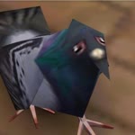 Eda
