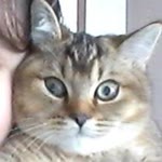 Zeynep