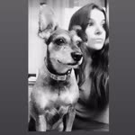 Nilüfer