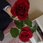 Ayse
