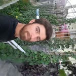 Orhan
