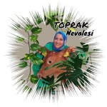 Toprak