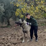 Mert