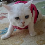 Gizem