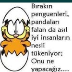 Tolga