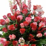Hatice