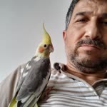 Fevzi