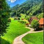 Feyza