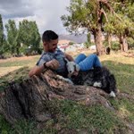 Baran