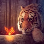 Vahid
