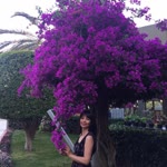 Hatice
