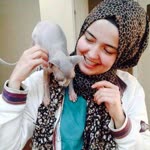Şule