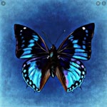Hiranur
