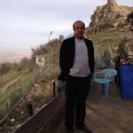 Vedat