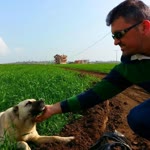 İsmail