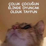 Mertan