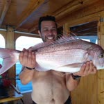 Serkan