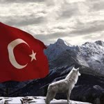 Ege
