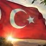 Sibel