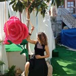 Seher