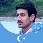 Doğan