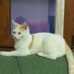 Tunçer