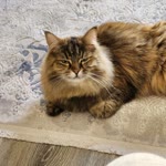 Victor