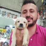 Gökhan