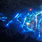 Eda