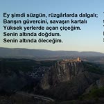 Salih
