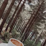 Sıla