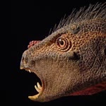 Dino