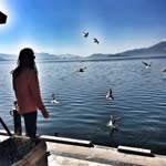 Merve