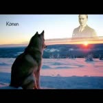 Alper