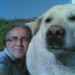 Sedat