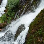 Alperen