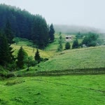 Şehir