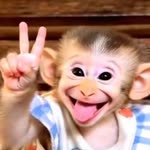 İlhan
