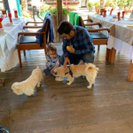 Melih